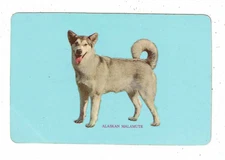 Vintage Swap Card 1950's - Original Woolworths - Alaskan Malamute