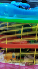 3 Tier Plastic Hamster Cage Standard Enclosure with Wire Bars