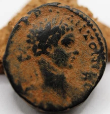 Roman Provincial | Elagabalus | Antioch, Syria | AE21 | 218-222 CE | ΔΕ & Star