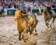 2025 Sovereignty Kentucky Derby Winner 8X10 Glossy Horse Racing Print #2