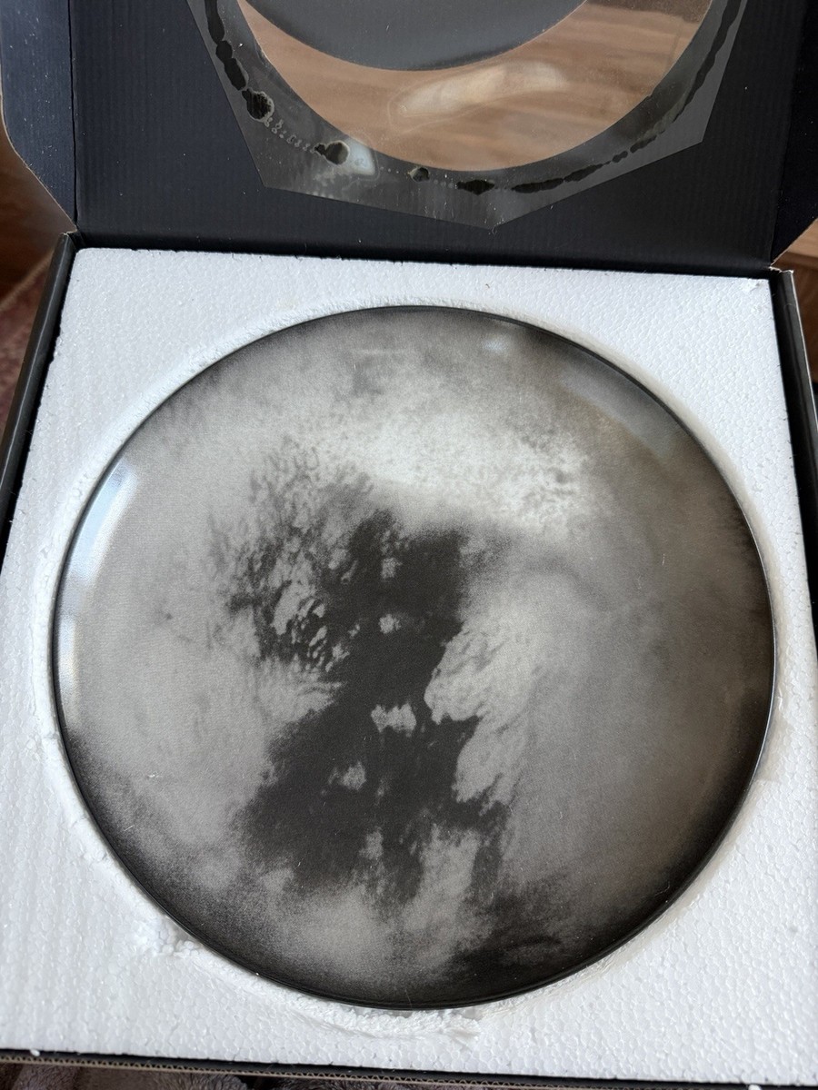 Titan Plate by Diesel Living With Seletti Cosmic Diner | eBay