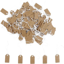100 Pcs Display Tags with Hanging String Mini Writable Blank Label Display Tags