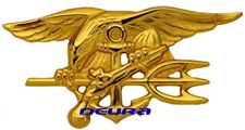 US Navy SEALS Special Warfare Gold Trident Insignia Badge Pin 2-3/4"