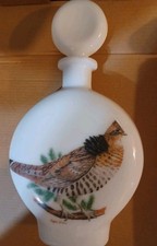  on The Hot Collector