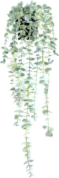 Eukalyptus HäNgepflanzen, HäNgende Pflanzen, KüNstliche Dekoration, KüNstliche T-image