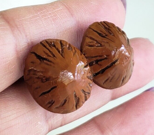 Vintage Brown Walnut Nut Seed Brass Screw Back Earrings 3/4" - Picture 3 of 7