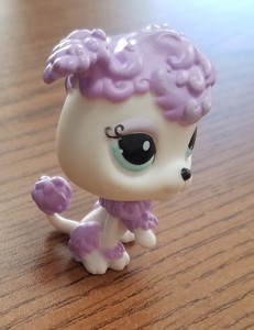 shop poodle