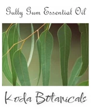 GULLY GUM (Eucalyptus smithii) 100% Pure Essential Oil 10ml