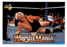 1990 Classic WWF #90 Bobby 