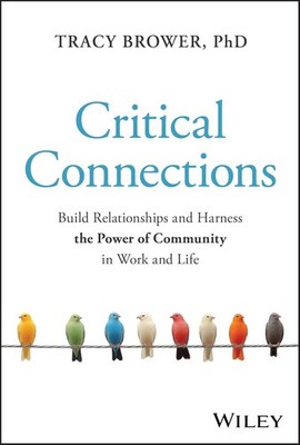 Critical Connections: Build Relationships and Harness the Power of Com Hardcover