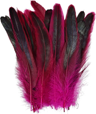 Fuchsia Rooster Feathers 100Pcs Natural Feather Bulk 6-8Inch for DIY Handmade Cr