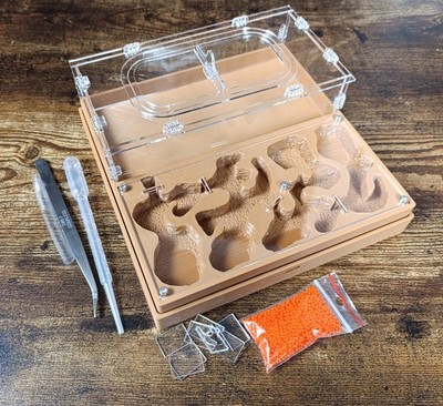 Ant farm '' ''Easy Start PLUS'' Natural organic nest design Anthill, Formicarium