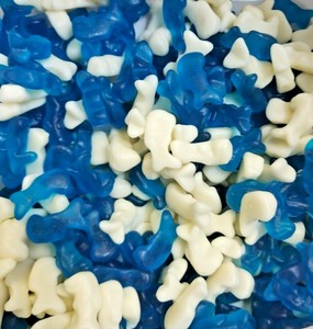 kingsway baby dolphins