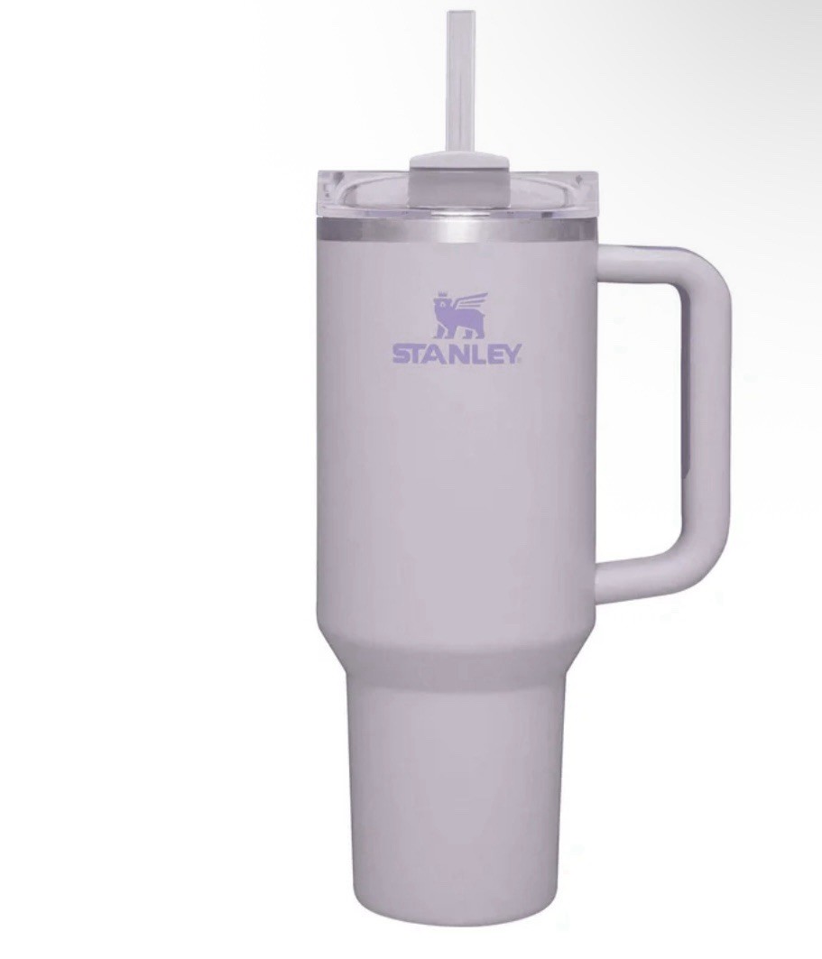 40oz Double Insulated Stainless Steel Travel Cup with Handle for Car