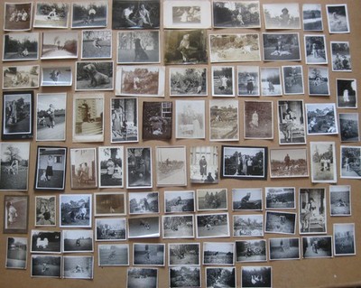 Hunde & Menschen mit Hunden Restposten 90 x Vintage Fotos um 1910-1960