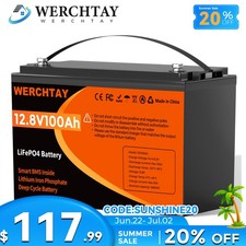 12V 100Ah LiFePO4 Battery Deep Cycle 15000 Cycles BMS for RV Marine Off Grid