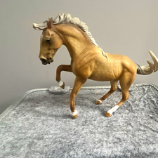 New lusitano collecta stalion