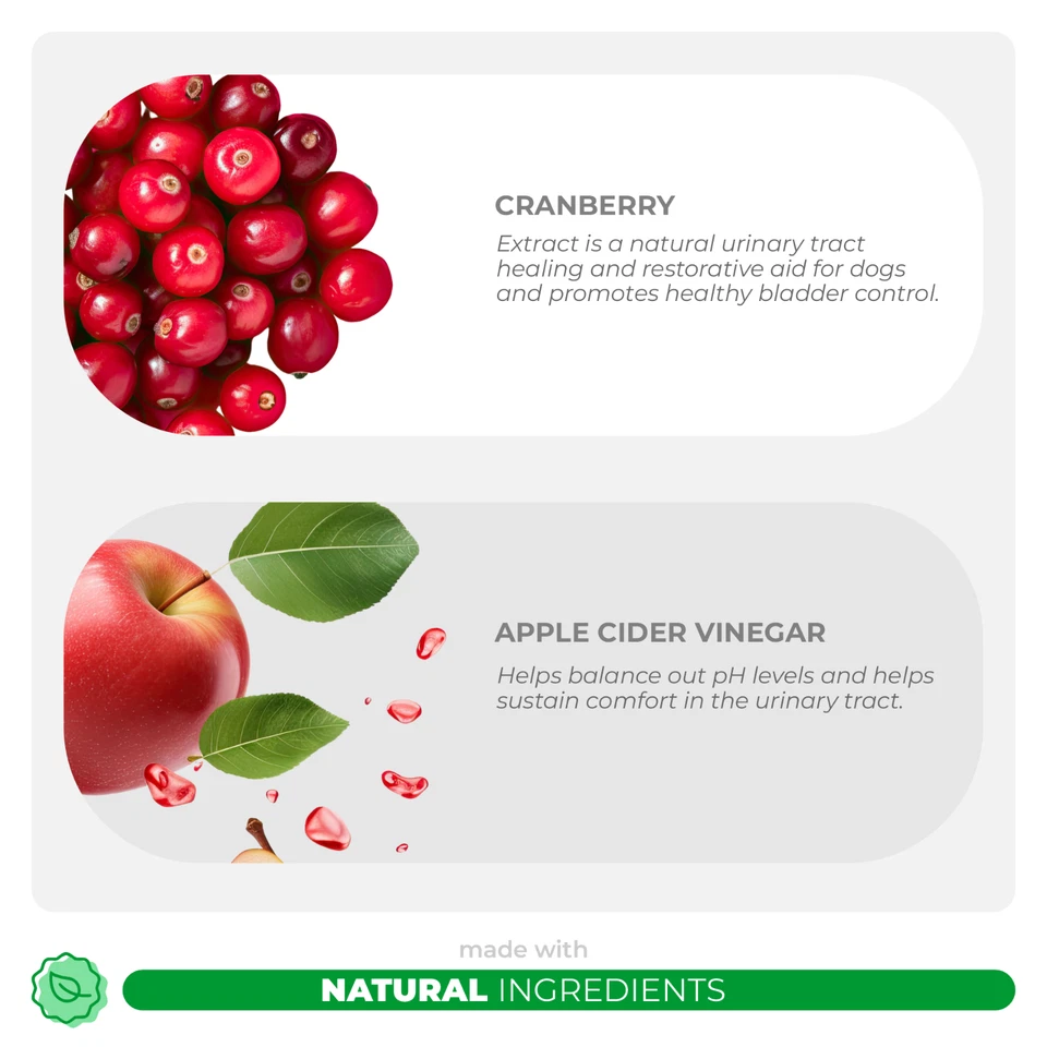 Arándano para perros - Soporte del tracto urinario, apoyo para la incontinencia, infección urinaria para perros Foto 3 de 4