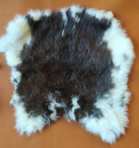 Fur rabbit fur fur fur fur   - Picture 1 of 16