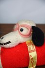 Bild 5 von 11