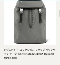 m1214 RIMOWA Signature Collection Large Flap Backpack Men's New Leather/Metal