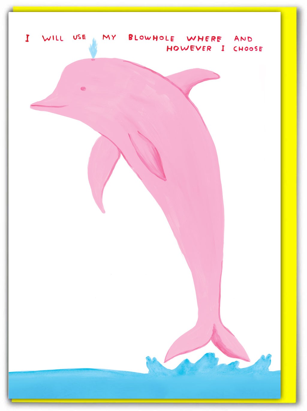 David Shrigley Birthday Card Funny Amusing Artistic Humour Witty Cheeky Joke