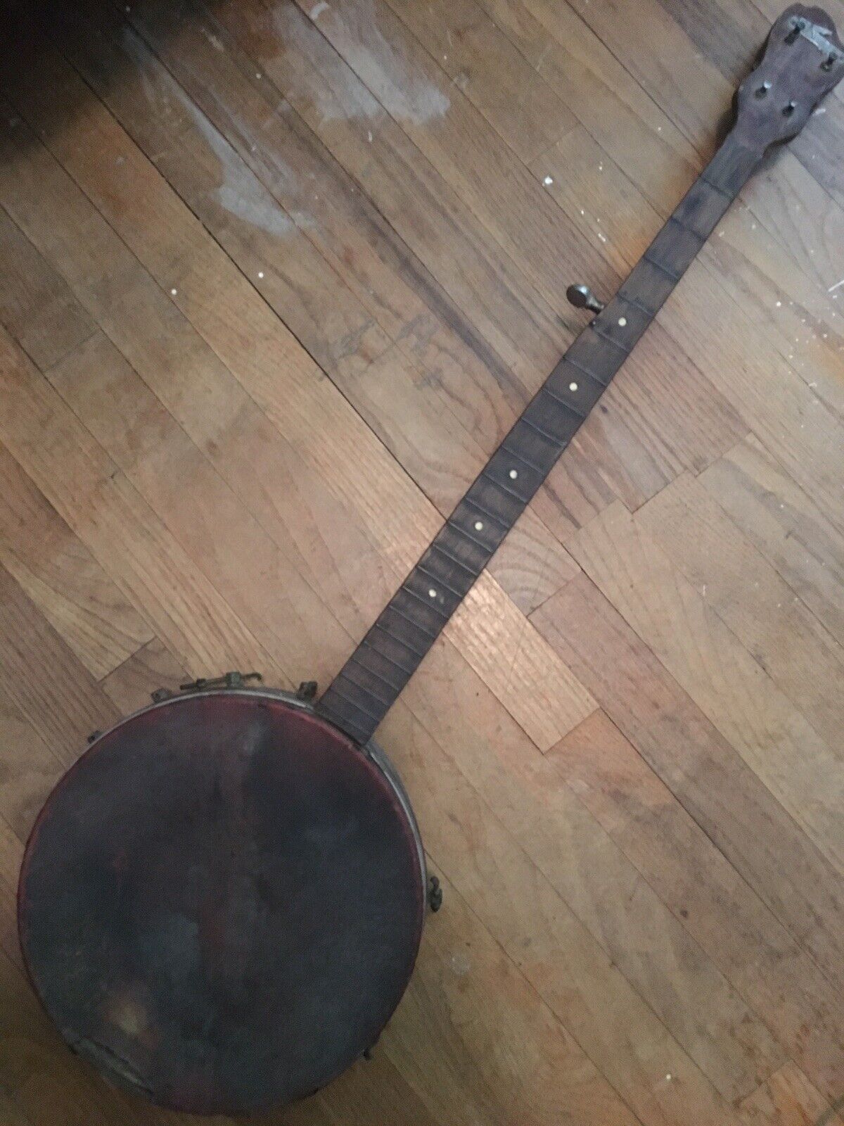 Vintage Kay Banjo 5 string