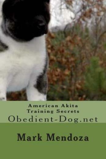 Obedience Training Training An American Akita Akita Dog Breed