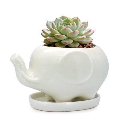 Elephant Succulent Planter Ceramic Pot with Saucer  Indoor Tabletop Decor