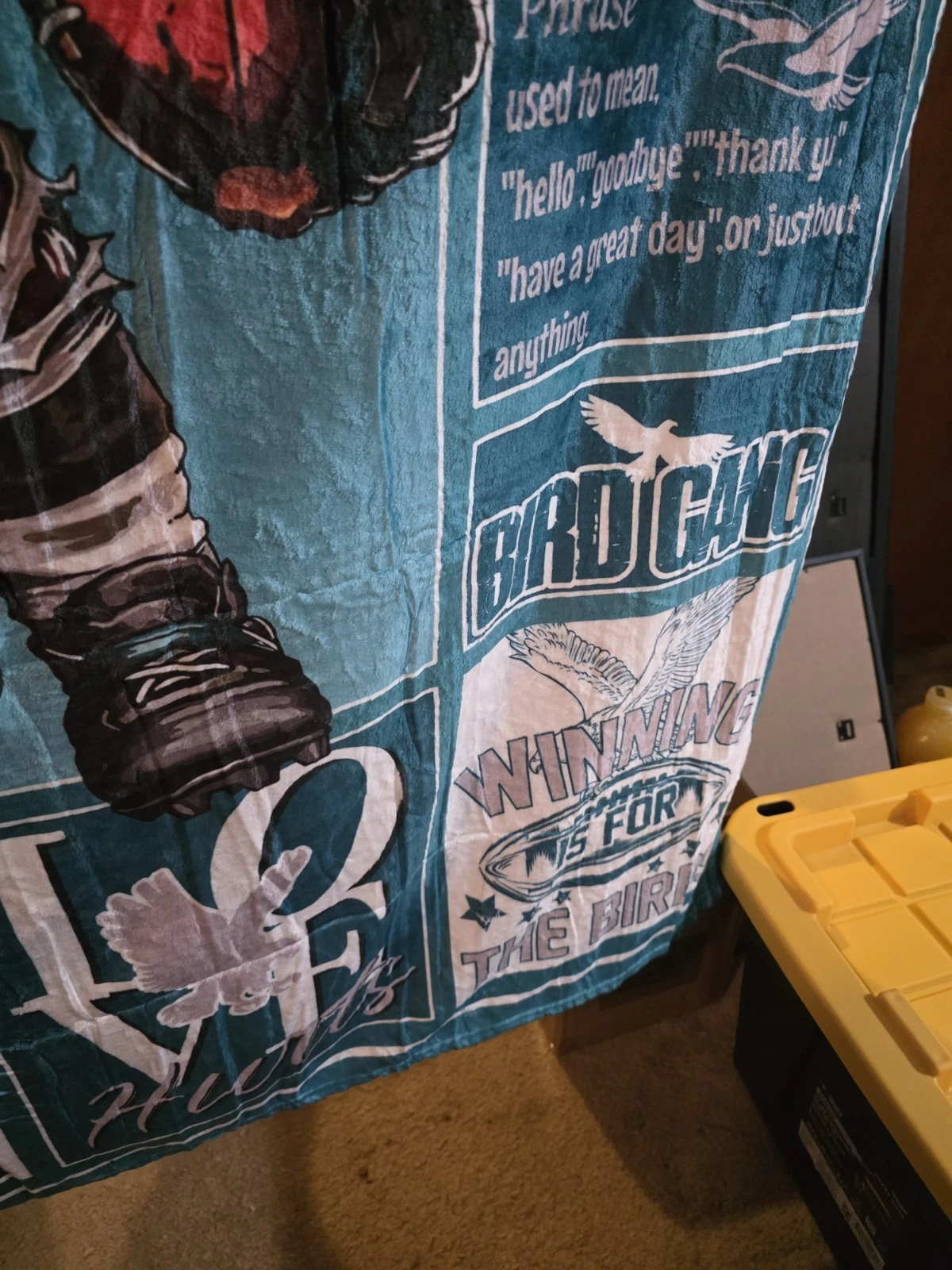 PHILADELPHIA EAGLES Throw BLANKET