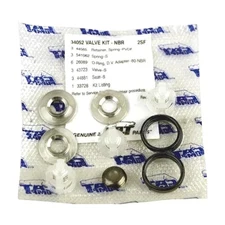 CAT PUMPS 34052 DISCHARGE VALVE KIT for Cat Pump 2SF, SF22E, 30GZ, 2SFX25GZ