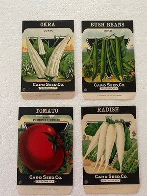 4 - 1920 s Card Seed Co Seed Packet New Old Stock Gênesee Litho
