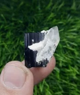Black Tourmaline Crystal With Quartz From Skardu Pakistan.