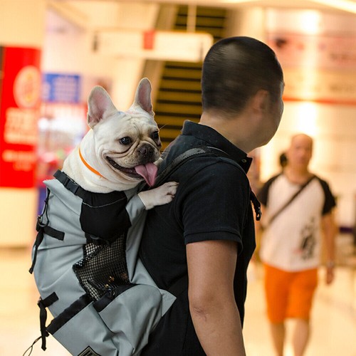 Zaino porta animali grande per escursionismo, bicicletta, cane, all'aperto, nero - Foto 17 di 17