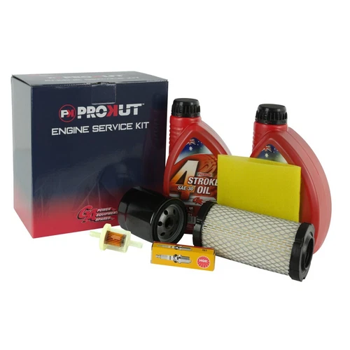 PROKUT ENGINE SERVICE KIT BRIGGS AND STRATTON PROFESSIONAL SERIES 17.5-19HP