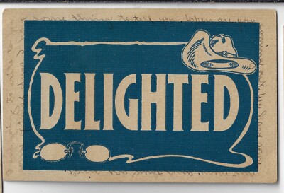 Delighted Cartoon Postcard w/President Teddy Roosevelt Rough Rider Hat & Glasses