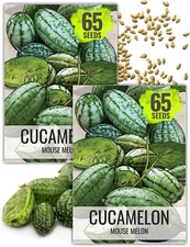 Cucamelon Seeds for Planting Mexican Sour Gherkin Miniature Mouse Melons - Non-G