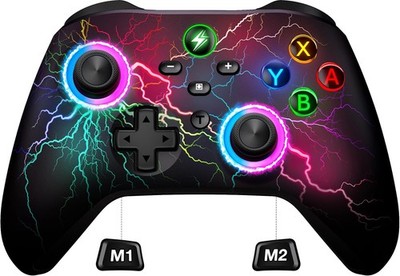 Switch Controller, Switch Pro Controller mit 2 Back Button Macro