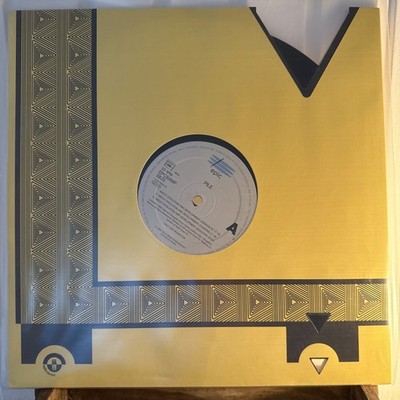 Pile -  About Evolution And Development - 12  Vinyl - 1996 - Promo Selten