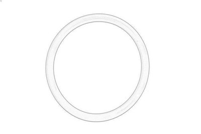 Dichtring, Düsenhalter OE AGCO F934201710250-AGCO