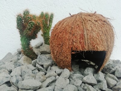 Coconut shell   hideaway home Aquarium fish breeding caver Hamster House