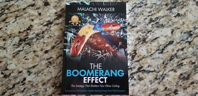 The Boomerang Effect: The Strategy That Shatters Your Glass Ceiling (Paperback)