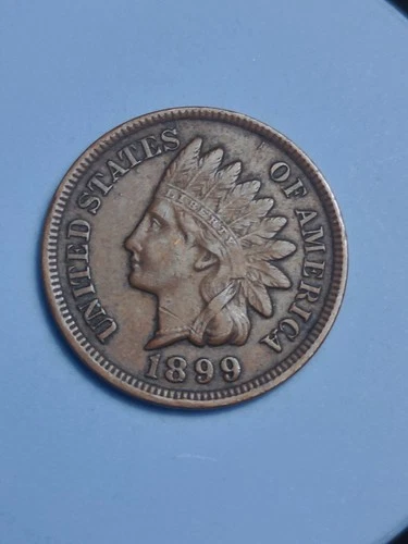 1899 Indian Head Cent #560