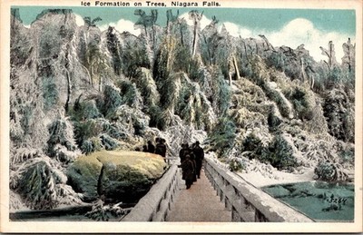 Ice Formation on Trees WINTER SCENE and BRIDGE Niagara Falls Postcard