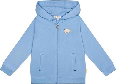 Steiff Jungen Sweatjacke mit Kapuze (104)