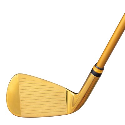 Nike VR Forged 7 Iron Regular Steel Shaft Mutsumi Honma Grip Nike VR Forged 7 Iron Regular Steel Shaft Mutsumi Honma Grip
