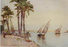 Giassas Sailing Boats on the River Nile - Antique Print 1913