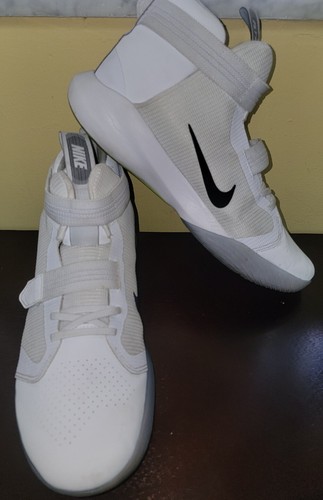 flyease precision iv