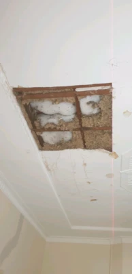 Sagging Ceiling Repair Plastering Tiling Gumtree Australia