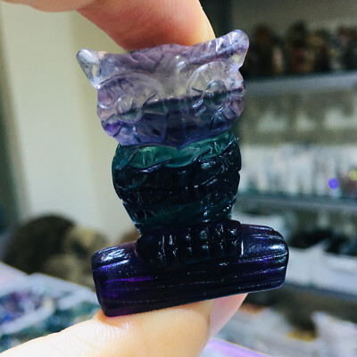 Natural Colored Fluorite Owl Quartz Skull Crystal Specimen Reiki